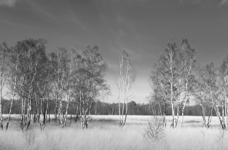 Norddeutschland