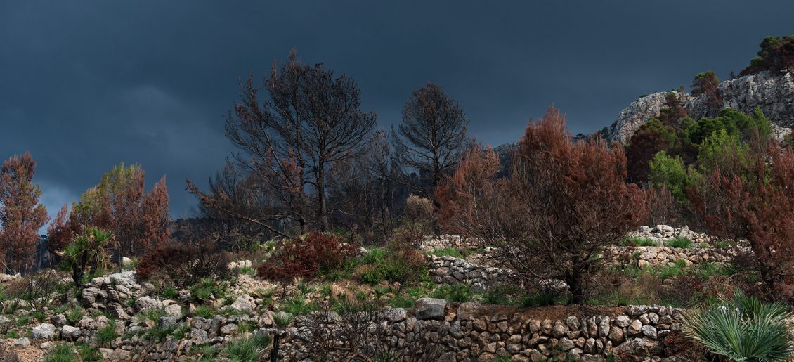 Mallorca