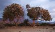 Kreta